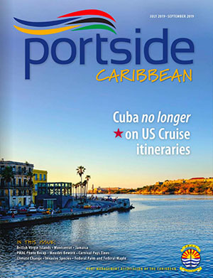 Issue 2-2019